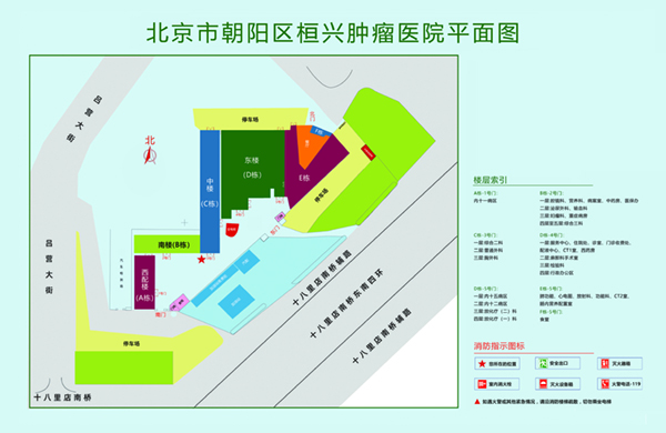 深夜免费看日逼大全北京市朝阳区桓兴肿瘤医院平面图